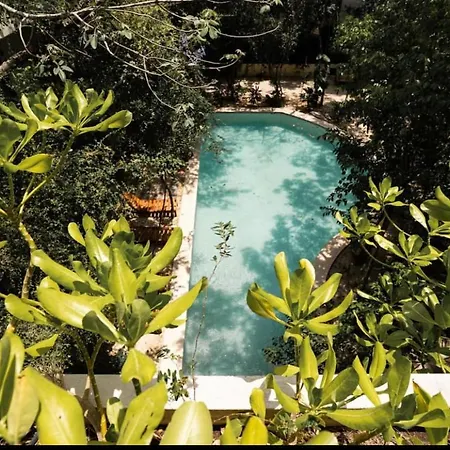 Penthouse En La Veleta Tulum Con Alberca Privada Apartment